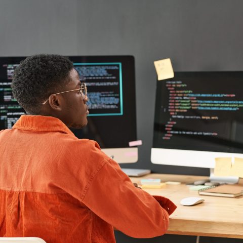 Ingénierie des Systèmes d'Information